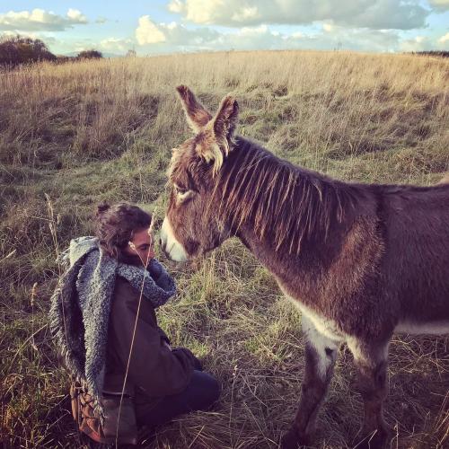 IMG 20181111 163326 806