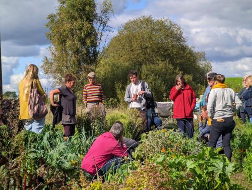 PXL 20220924 132658869.MP 