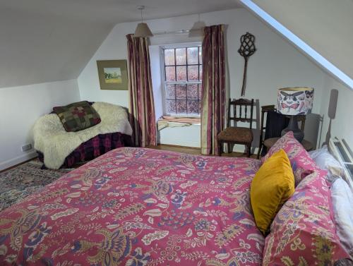 PXL 20250211 144300432