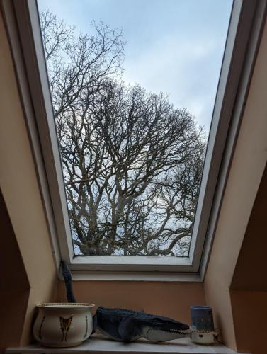 PXL 20250211 145129575