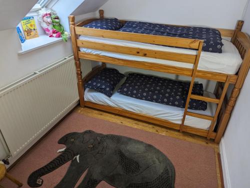 PXL 20250211 145205574