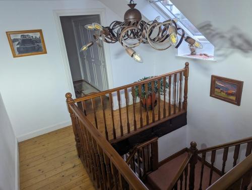 PXL 20250211 154942610.ACTION PAN