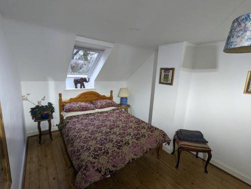 PXL 20250211 155212784