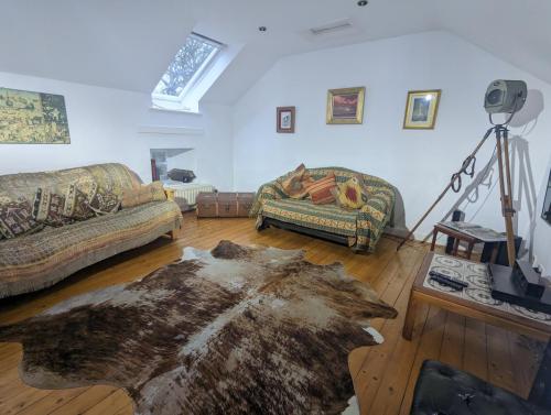 PXL 20250211 160444241