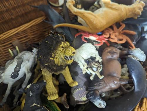 PXL 20250211 164017480